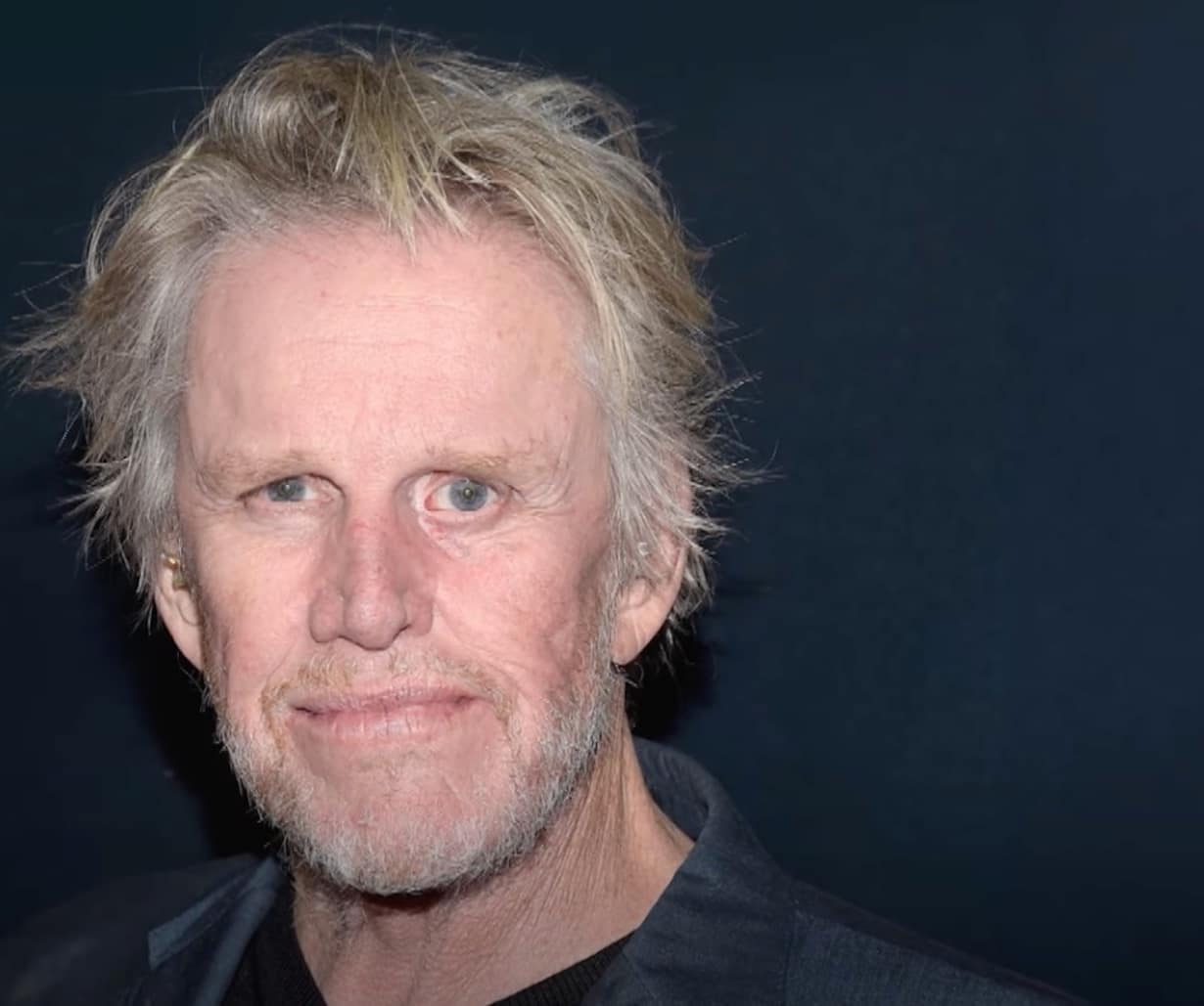 Oscar Nominee Gary Busey Sentenced in Shocking Convention Case