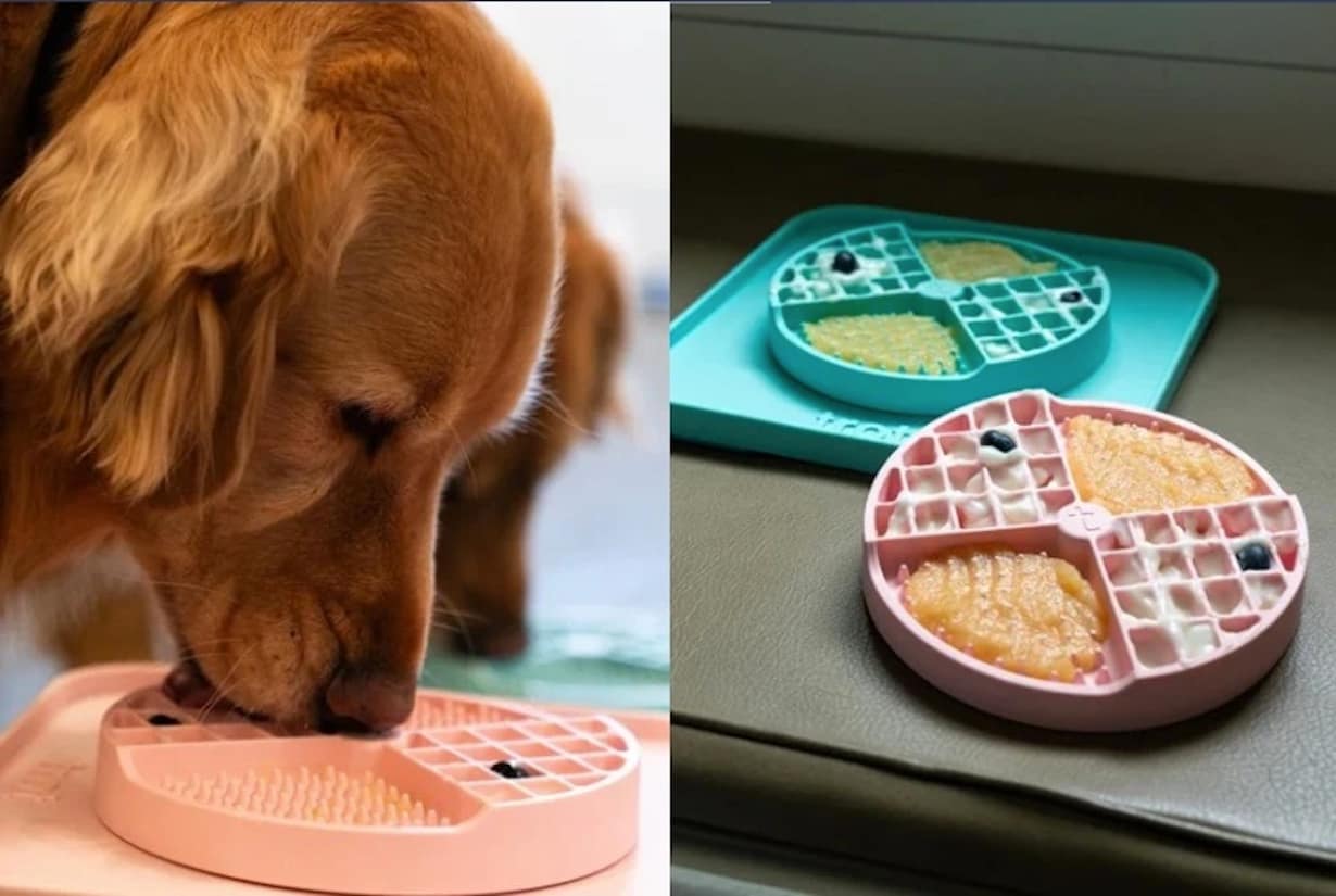 Trot Pets Snack Tray Keeps Dogs Happy During Long Winter Days