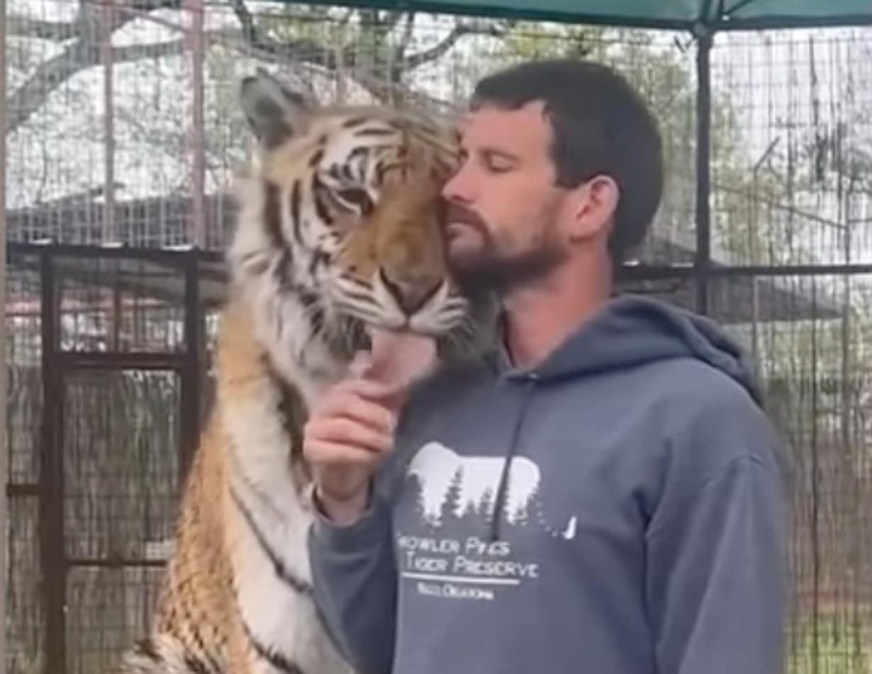 Tiger Handler with Joe Exotic Ties Fatally Mauled in Oklahoma