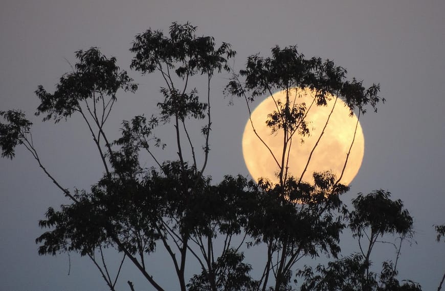 November 2025 Supermoon glowing brightly over a clear night sky, ideal for skywatching in top U.S. states.